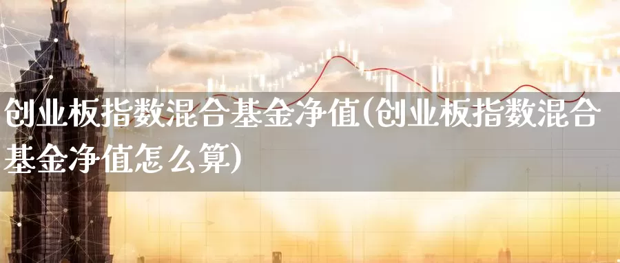 创业板指数混合基金净值(创业板指数混合基金净值怎么算)_https://www.lfyiying.com_证券_第1张