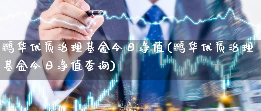 鹏华优质治理基金今日净值(鹏华优质治理基金今日净值查询)_https://www.lfyiying.com_股吧_第1张