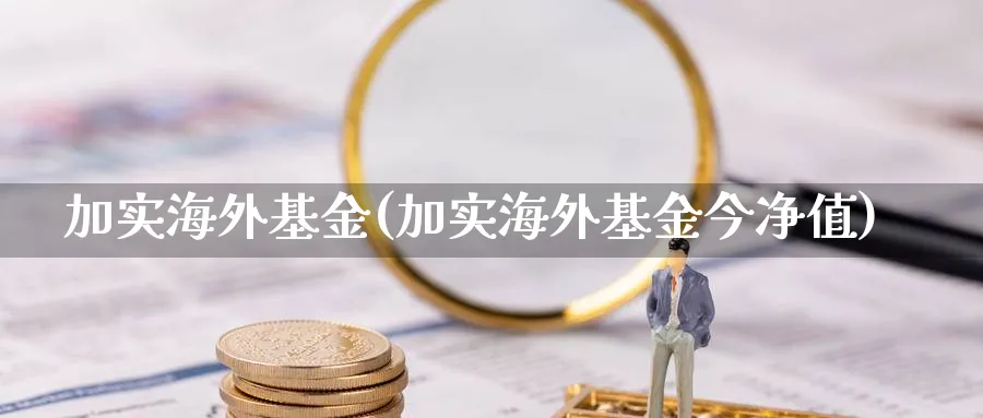 加实海外基金(加实海外基金今净值)_https://www.lfyiying.com_证券_第1张