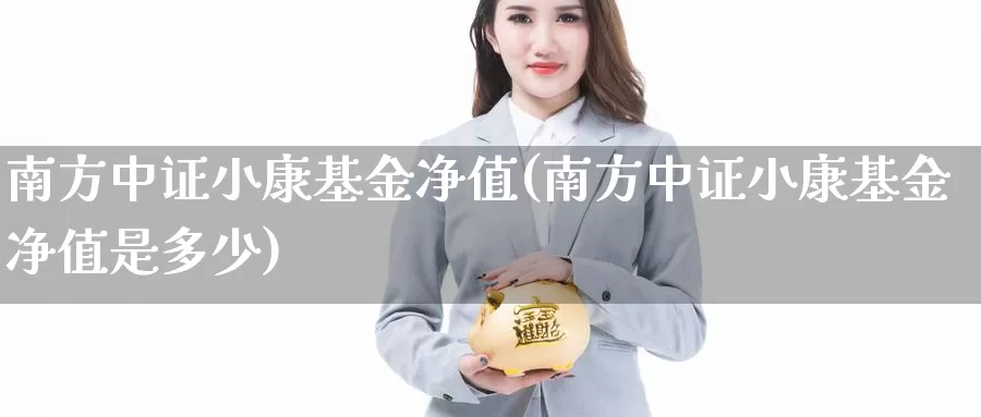 南方中证小康基金净值(南方中证小康基金净值是多少)_https://www.lfyiying.com_美股_第1张