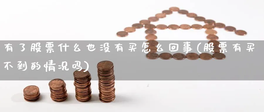 有了股票什么也没有买怎么回事(股票有买不到的情况吗)_https://www.lfyiying.com_股票分类_第1张