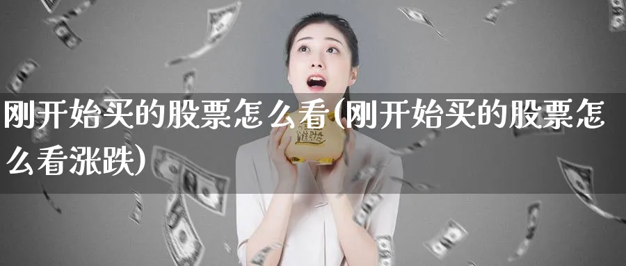 刚开始买的股票怎么看(刚开始买的股票怎么看涨跌)_https://www.lfyiying.com_美股_第1张