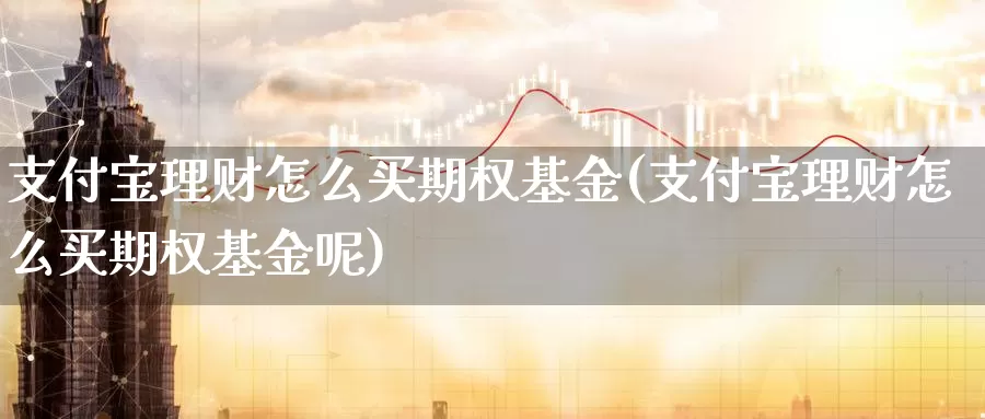 支付宝理财怎么买期权基金(支付宝理财怎么买期权基金呢)_https://www.lfyiying.com_股票分类_第1张