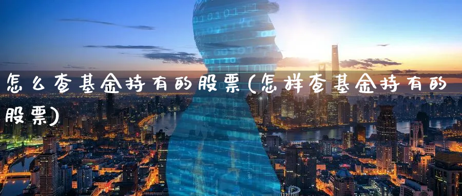 怎么查基金持有的股票(怎样查基金持有的股票)_https://www.lfyiying.com_美股_第1张