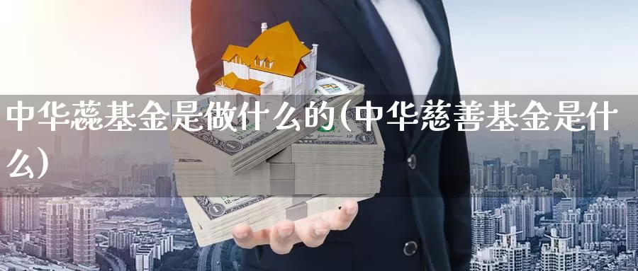 中华蕊基金是做什么的(中华慈善基金是什么)_https://www.lfyiying.com_个股_第1张