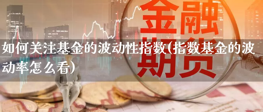 如何关注基金的波动性指数(指数基金的波动率怎么看)_https://www.lfyiying.com_股票分类_第1张