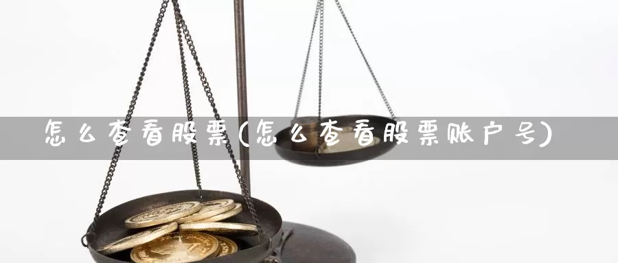 怎么查看股票(怎么查看股票账户号)_https://www.lfyiying.com_股票百科_第1张