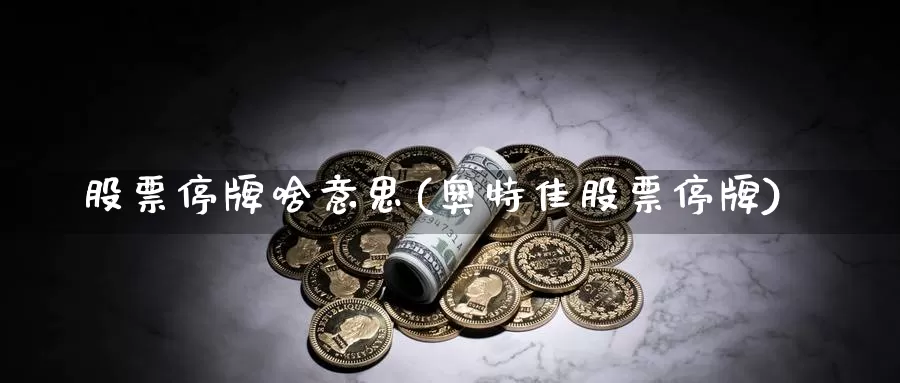 股票停牌啥意思(奥特佳股票停牌)_https://www.lfyiying.com_股吧_第1张