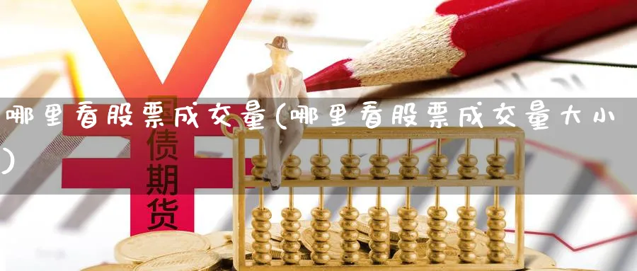 哪里看股票成交量(哪里看股票成交量大小)_https://www.lfyiying.com_美股_第1张