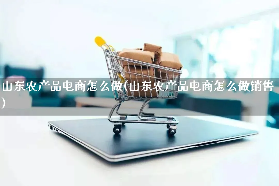 山东农产品电商怎么做(山东农产品电商怎么做销售)_https://www.lfyiying.com_美股_第1张