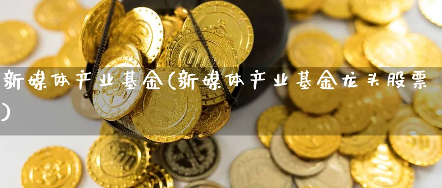 新媒体产业基金(新媒体产业基金龙头股票)_https://www.lfyiying.com_股票百科_第1张