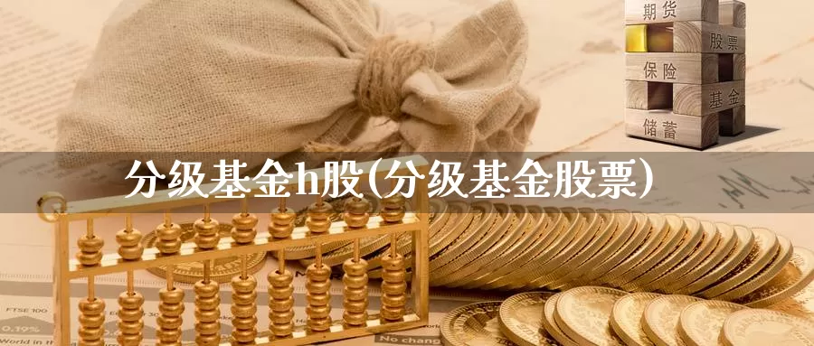 分级基金h股(分级基金股票)_https://www.lfyiying.com_美股_第1张