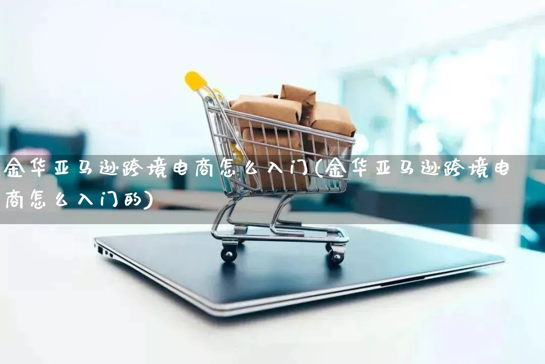 金华亚马逊跨境电商怎么入门(金华亚马逊跨境电商怎么入门的)_https://www.lfyiying.com_证券_第1张