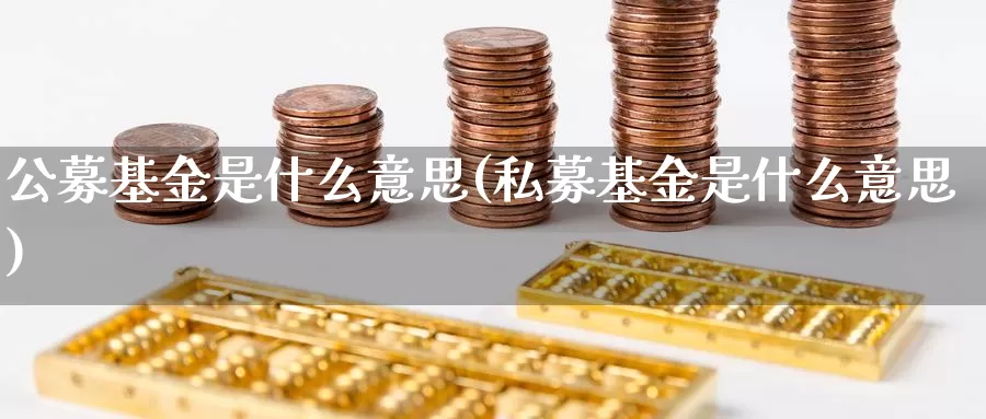 公募基金是什么意思(私募基金是什么意思)_https://www.lfyiying.com_港股_第1张