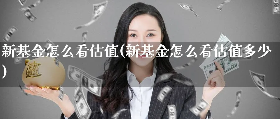 新基金怎么看估值(新基金怎么看估值多少)_https://www.lfyiying.com_美股_第1张