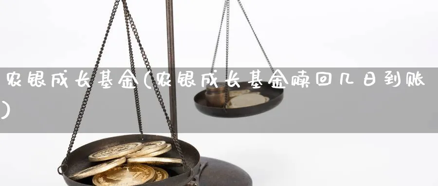 农银成长基金(农银成长基金赎回几日到账)_https://www.lfyiying.com_股票分类_第1张