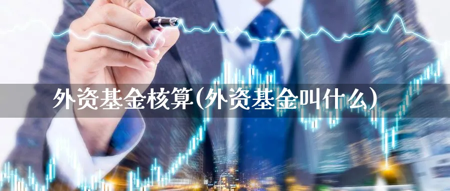 外资基金核算(外资基金叫什么)_https://www.lfyiying.com_股票分类_第1张