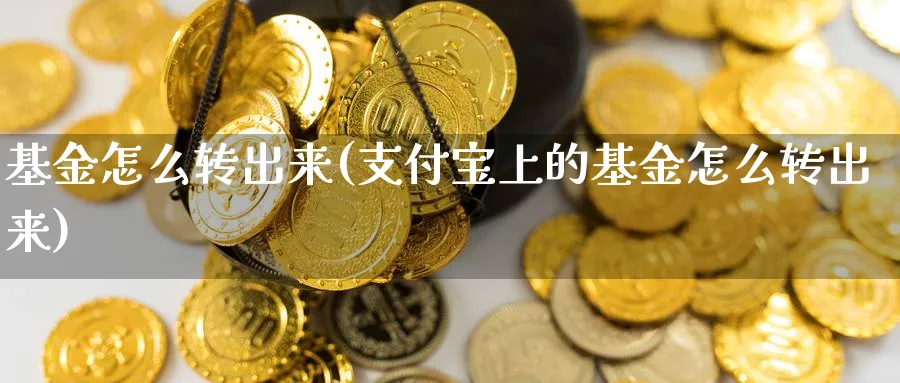 基金怎么转出来(支付宝上的基金怎么转出来)_https://www.lfyiying.com_证券_第1张