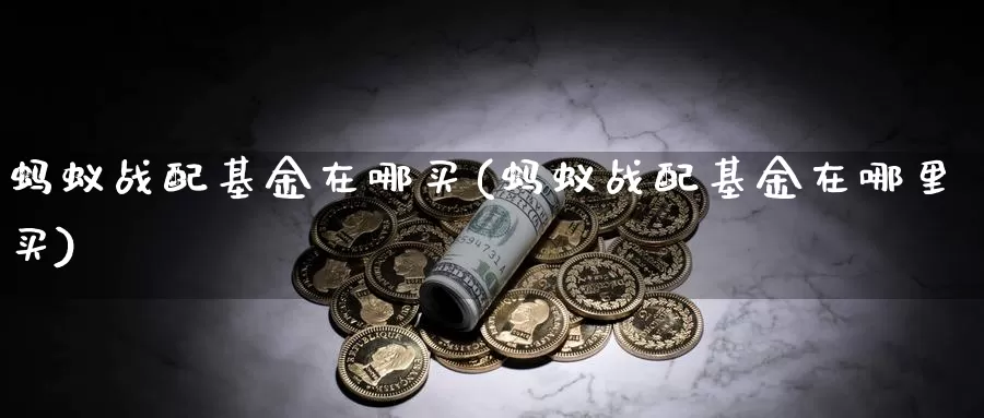 蚂蚁战配基金在哪买(蚂蚁战配基金在哪里买)_https://www.lfyiying.com_股票百科_第1张