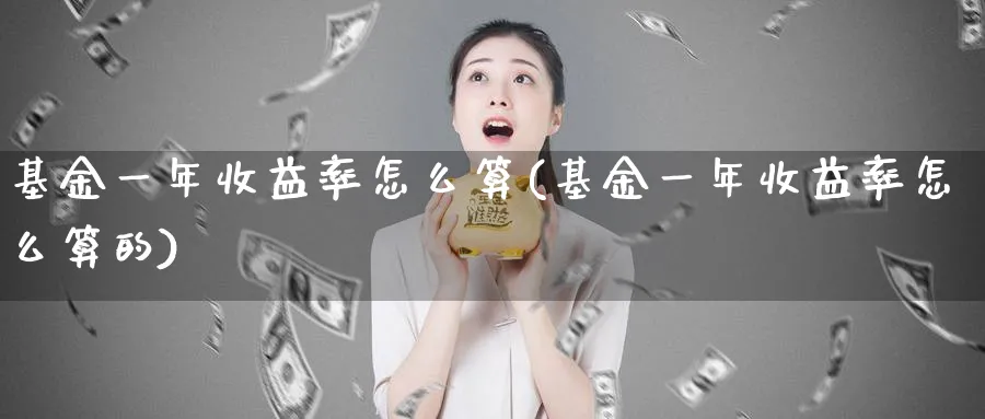 基金一年收益率怎么算(基金一年收益率怎么算的)_https://www.lfyiying.com_股票分类_第1张