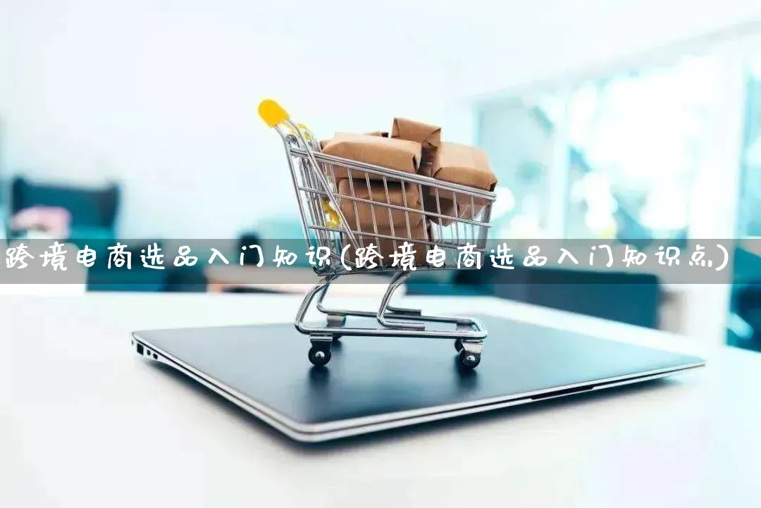 跨境电商选品入门知识(跨境电商选品入门知识点)_https://www.lfyiying.com_港股_第1张