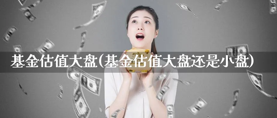 基金估值大盘(基金估值大盘还是小盘)_https://www.lfyiying.com_证券_第1张