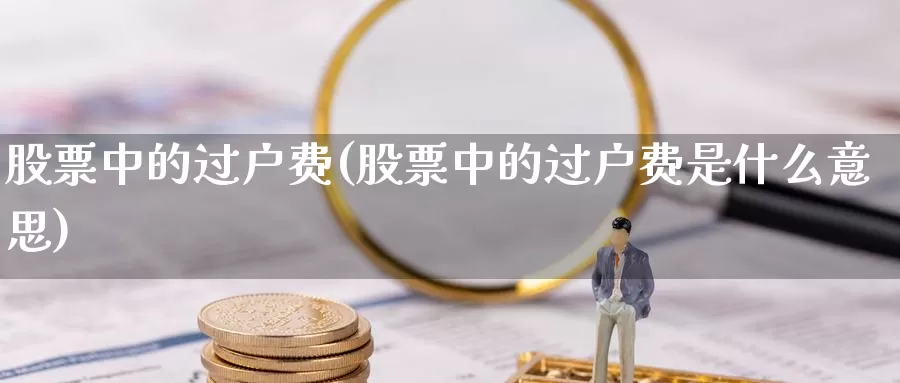 股票中的过户费(股票中的过户费是什么意思)_https://www.lfyiying.com_港股_第1张