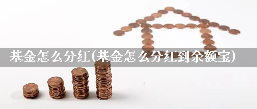 基金怎么分红(基金怎么分红到余额宝)_https://www.lfyiying.com_股票百科_第1张