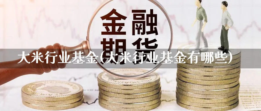 大米行业基金(大米行业基金有哪些)_https://www.lfyiying.com_股吧_第1张