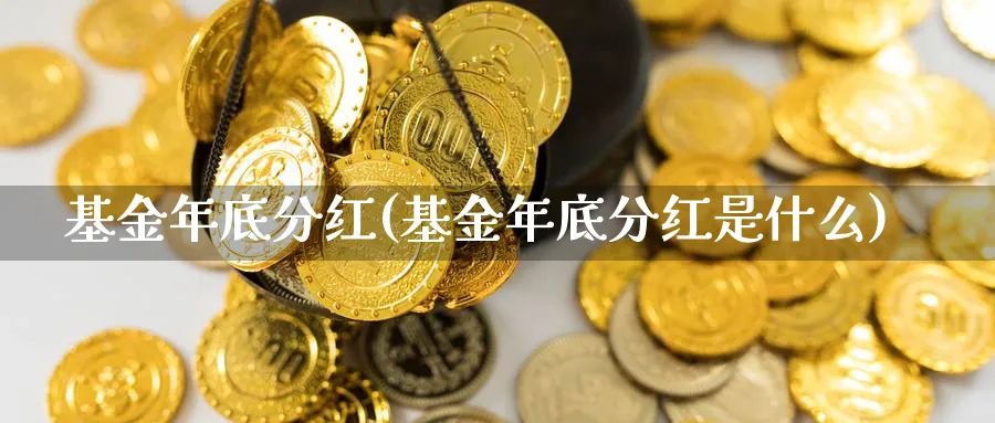 基金年底分红(基金年底分红是什么)_https://www.lfyiying.com_美股_第1张