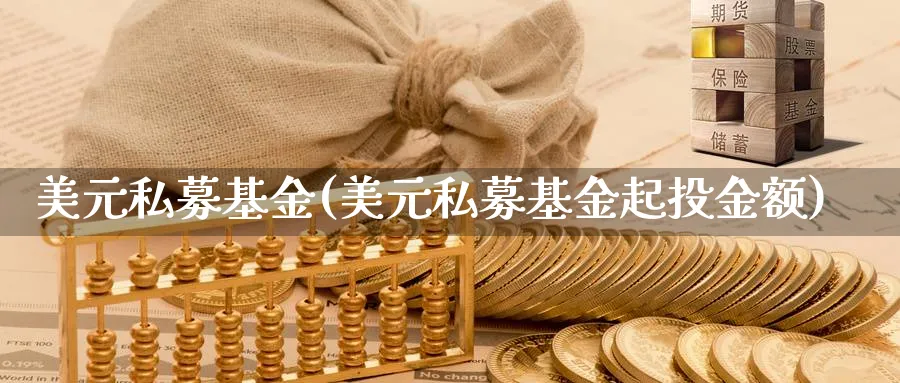 美元私募基金(美元私募基金起投金额)_https://www.lfyiying.com_股票百科_第1张