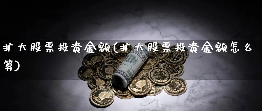 扩大股票投资金额(扩大股票投资金额怎么算)_https://www.lfyiying.com_证券_第1张