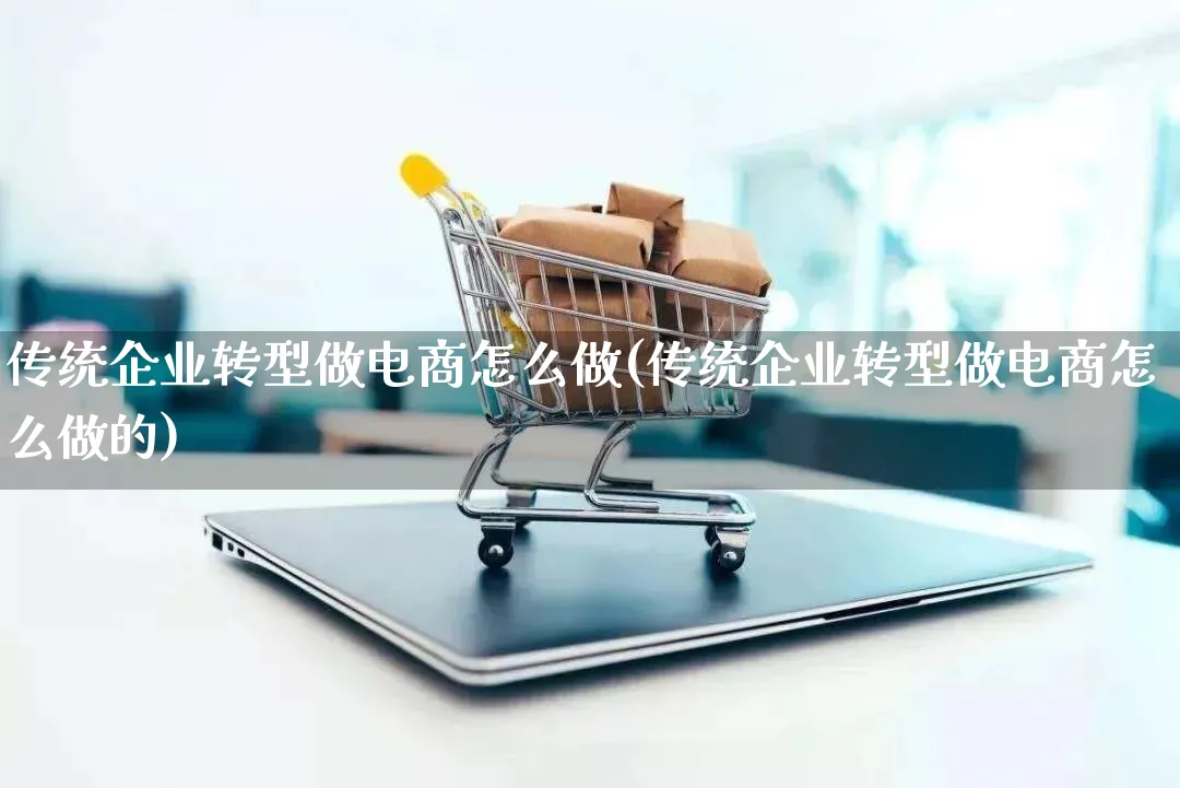 传统企业转型做电商怎么做(传统企业转型做电商怎么做的)_https://www.lfyiying.com_股票百科_第1张