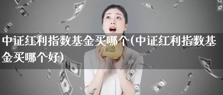 中证红利指数基金买哪个(中证红利指数基金买哪个好)_https://www.lfyiying.com_股吧_第1张