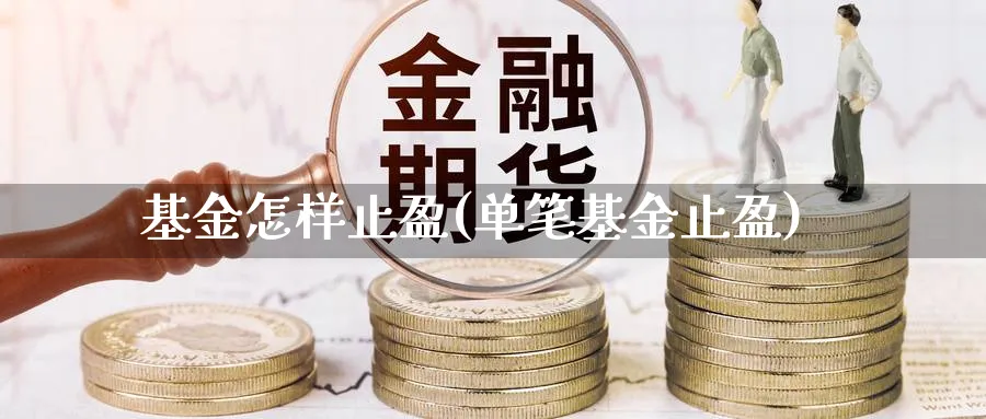 基金怎样止盈(单笔基金止盈)_https://www.lfyiying.com_股票百科_第1张