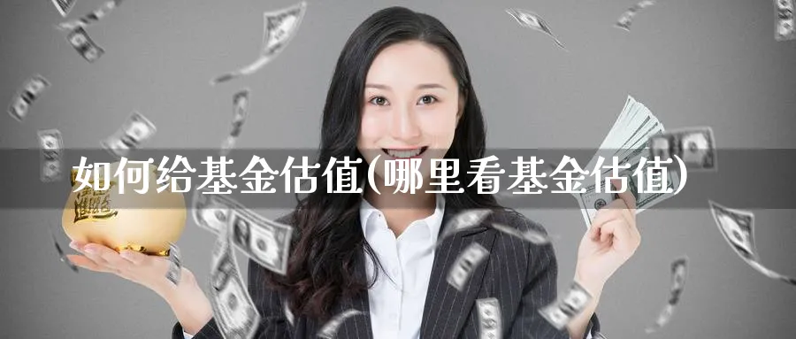 如何给基金估值(哪里看基金估值)_https://www.lfyiying.com_股票分类_第1张