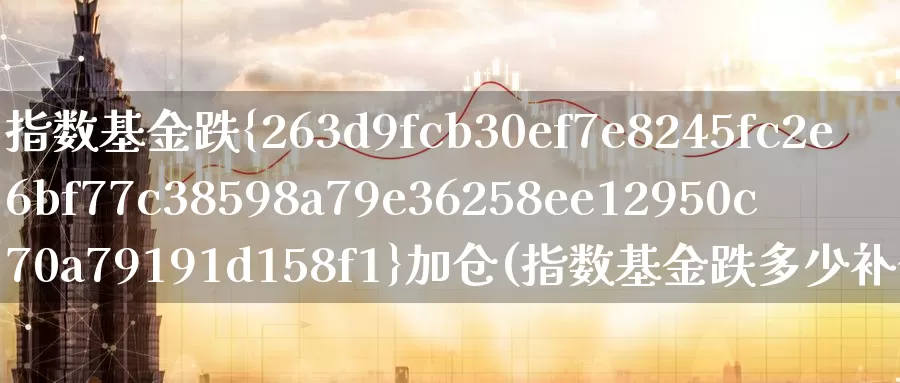 指数基金跌%加仓(指数基金跌多少补仓合适)_https://www.lfyiying.com_个股_第1张