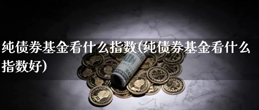 纯债券基金看什么指数(纯债券基金看什么指数好)_https://www.lfyiying.com_证券_第1张