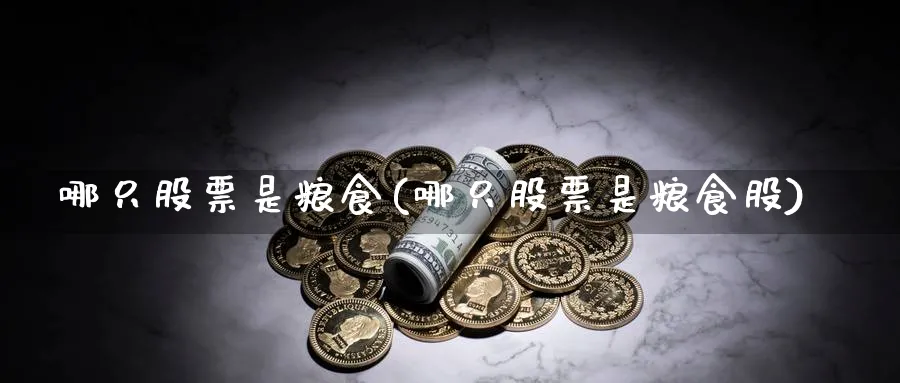 哪只股票是粮食(哪只股票是粮食股)_https://www.lfyiying.com_股票百科_第1张