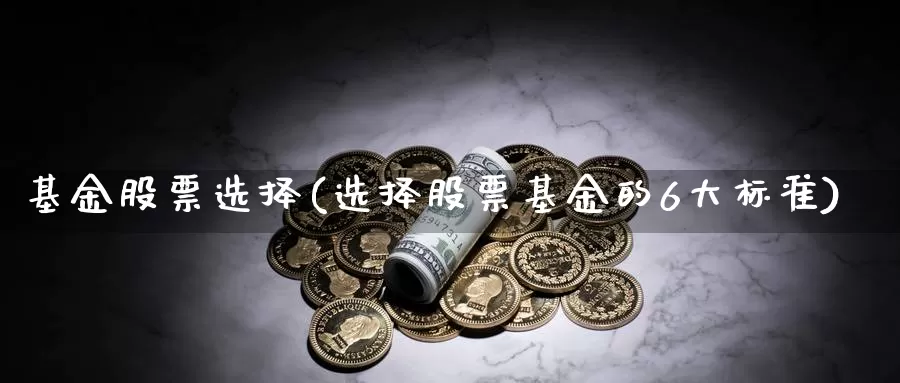 基金股票选择(选择股票基金的6大标准)_https://www.lfyiying.com_美股_第1张