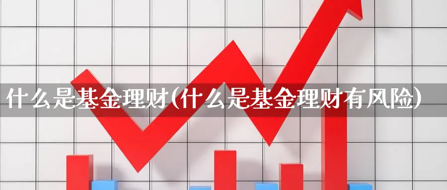 什么是基金理财(什么是基金理财有风险)_https://www.lfyiying.com_个股_第1张