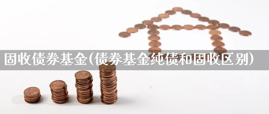 固收债券基金(债券基金纯债和固收区别)_https://www.lfyiying.com_个股_第1张