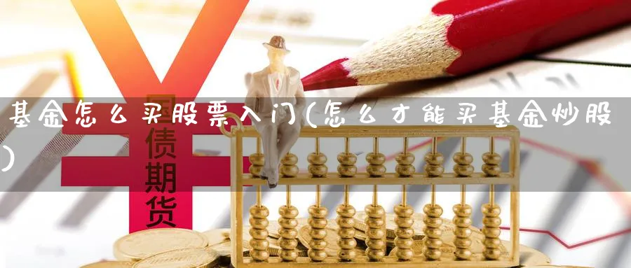 基金怎么买股票入门(怎么才能买基金炒股)_https://www.lfyiying.com_股票百科_第1张