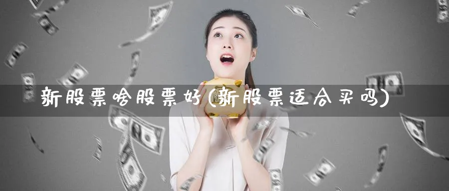 新股票啥股票好(新股票适合买吗)_https://www.lfyiying.com_股票分类_第1张