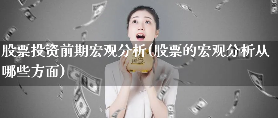 股票投资前期宏观分析(股票的宏观分析从哪些方面)_https://www.lfyiying.com_股票分类_第1张