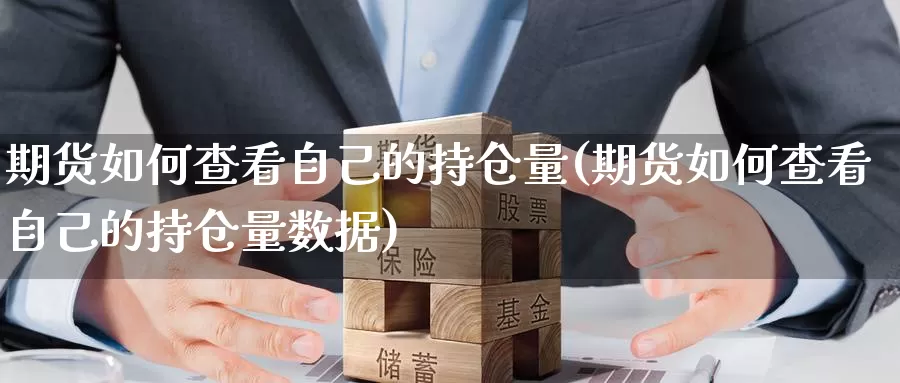 期货如何查看自己的持仓量(期货如何查看自己的持仓量数据)_https://www.lfyiying.com_股票分类_第1张