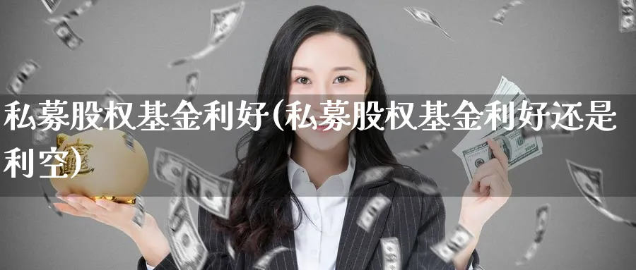 私募股权基金利好(私募股权基金利好还是利空)_https://www.lfyiying.com_股票分类_第1张