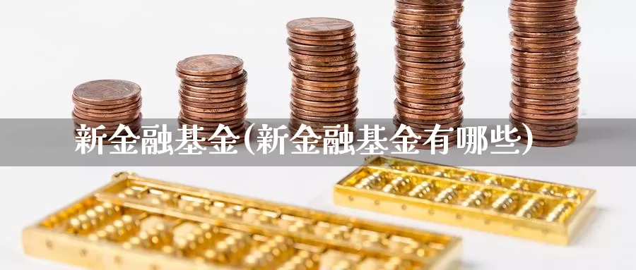 新金融基金(新金融基金有哪些)_https://www.lfyiying.com_股票分类_第1张