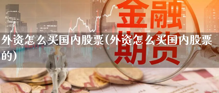 外资怎么买国内股票(外资怎么买国内股票的)_https://www.lfyiying.com_证券_第1张