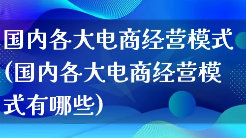 国内各大电商经营模式(国内各大电商经营模式有哪些)_https://www.lfyiying.com_股票百科_第1张